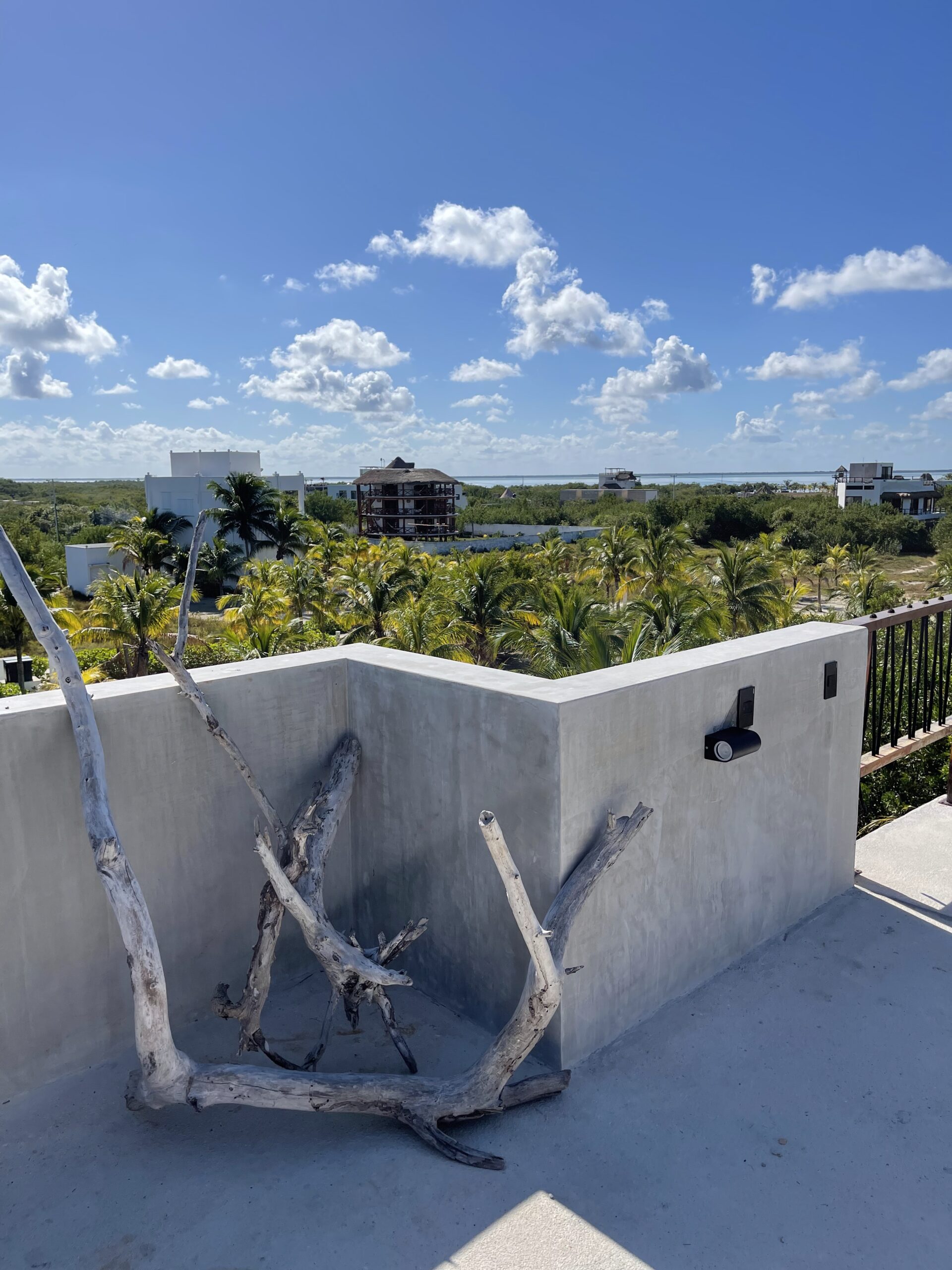 Hotel Amadeo Property